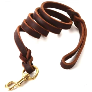 Dog Collars