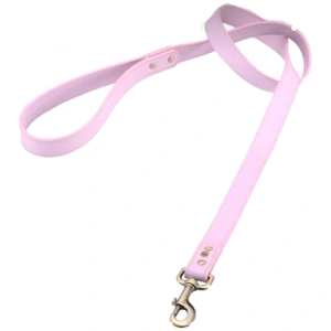 Dog Collars