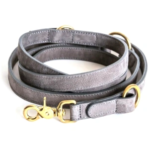 Dog Collars