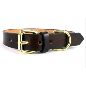 Dog Collars