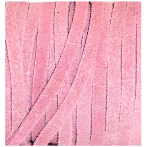 Suede Leather Cords